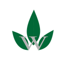 Wowie Inc