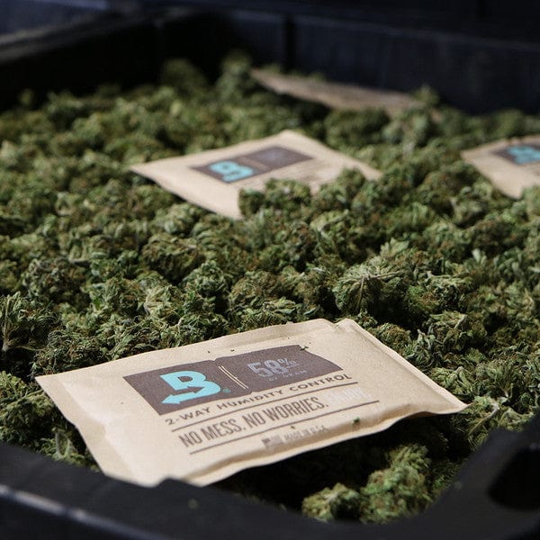 Boveda Humdiity Packs laid on top of tubs of cannabis