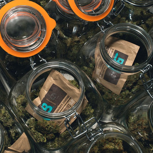 Boveda Packs stored inside of large mason jars of cannabis